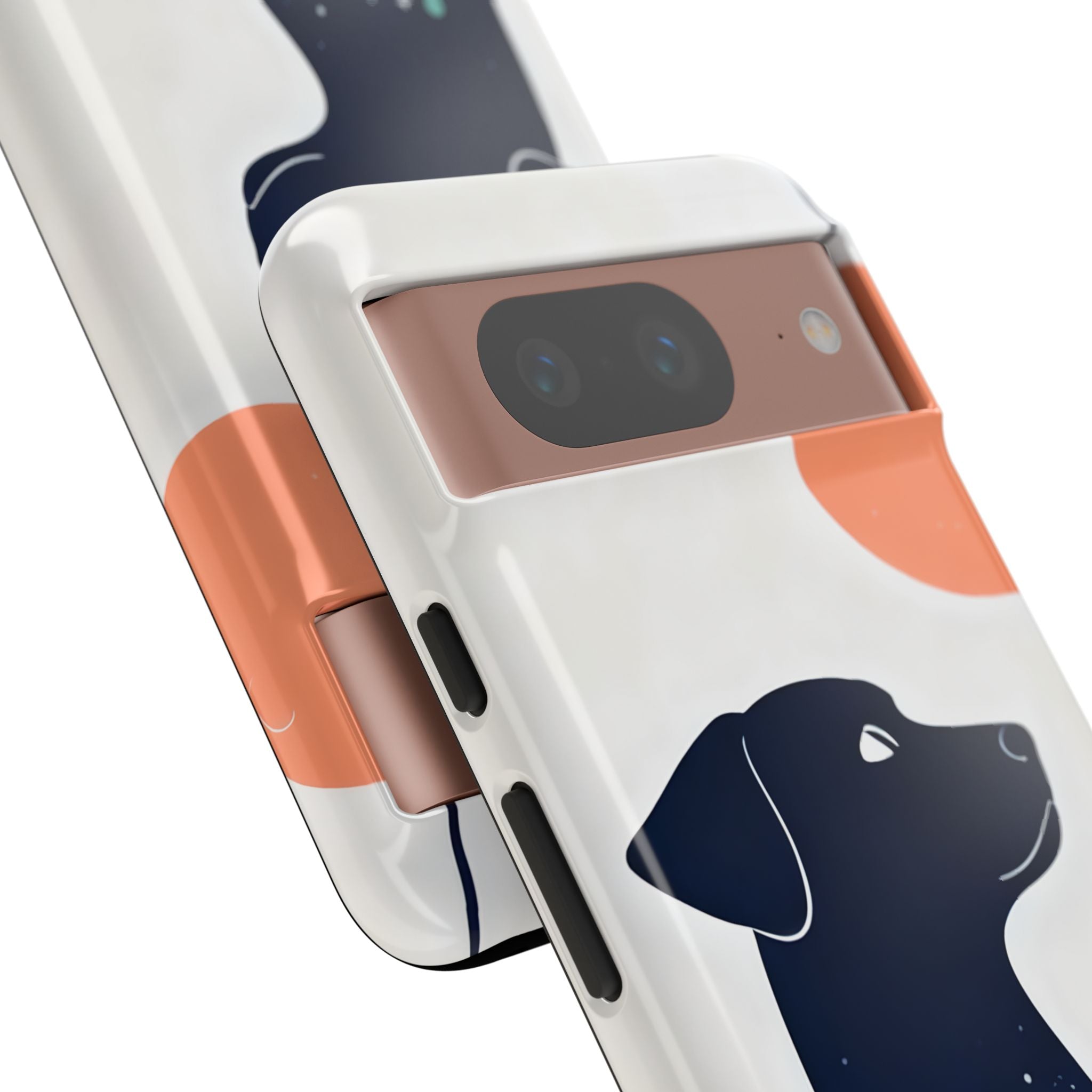 Aesthetic Cosmic Pet