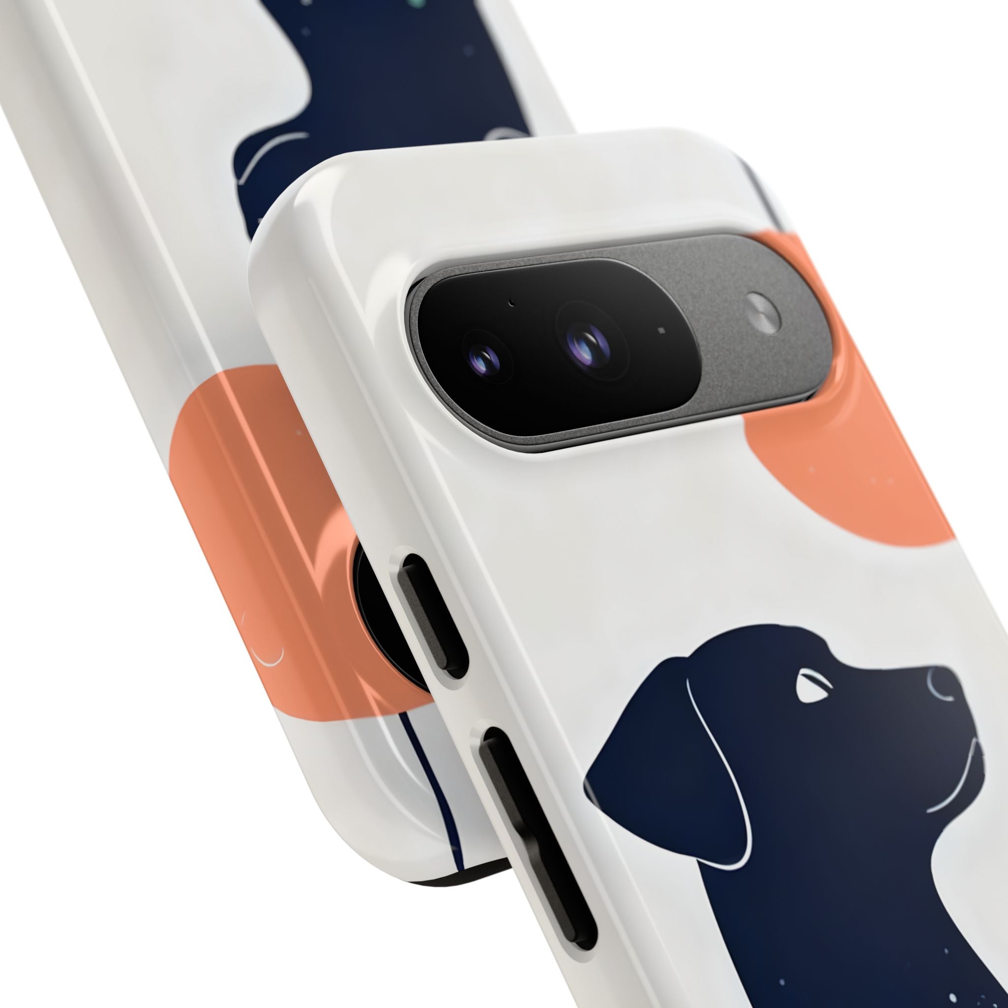 Aesthetic Cosmic Pet