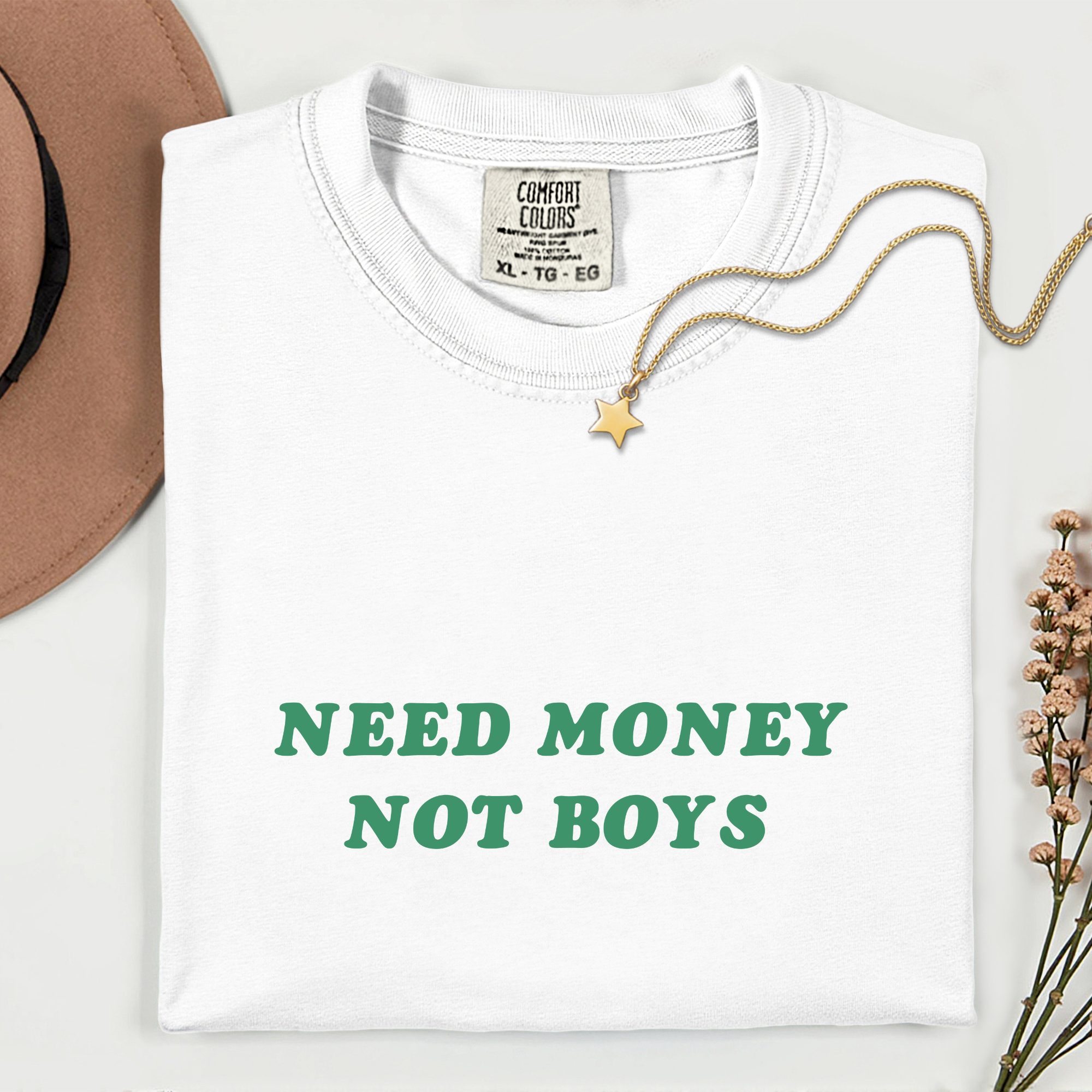 Need Money Not Boys T-Shirt