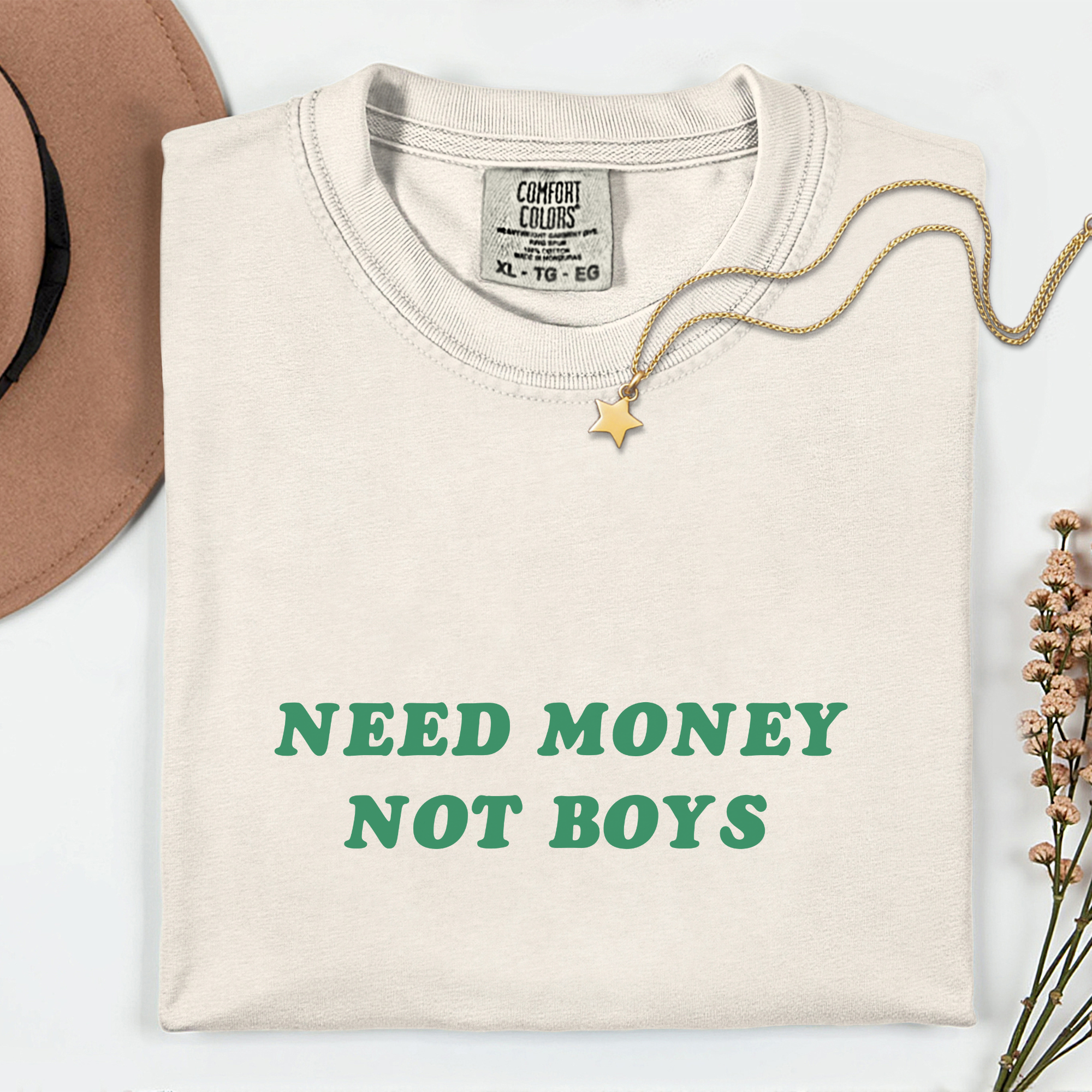 Need Money Not Boys T-Shirt