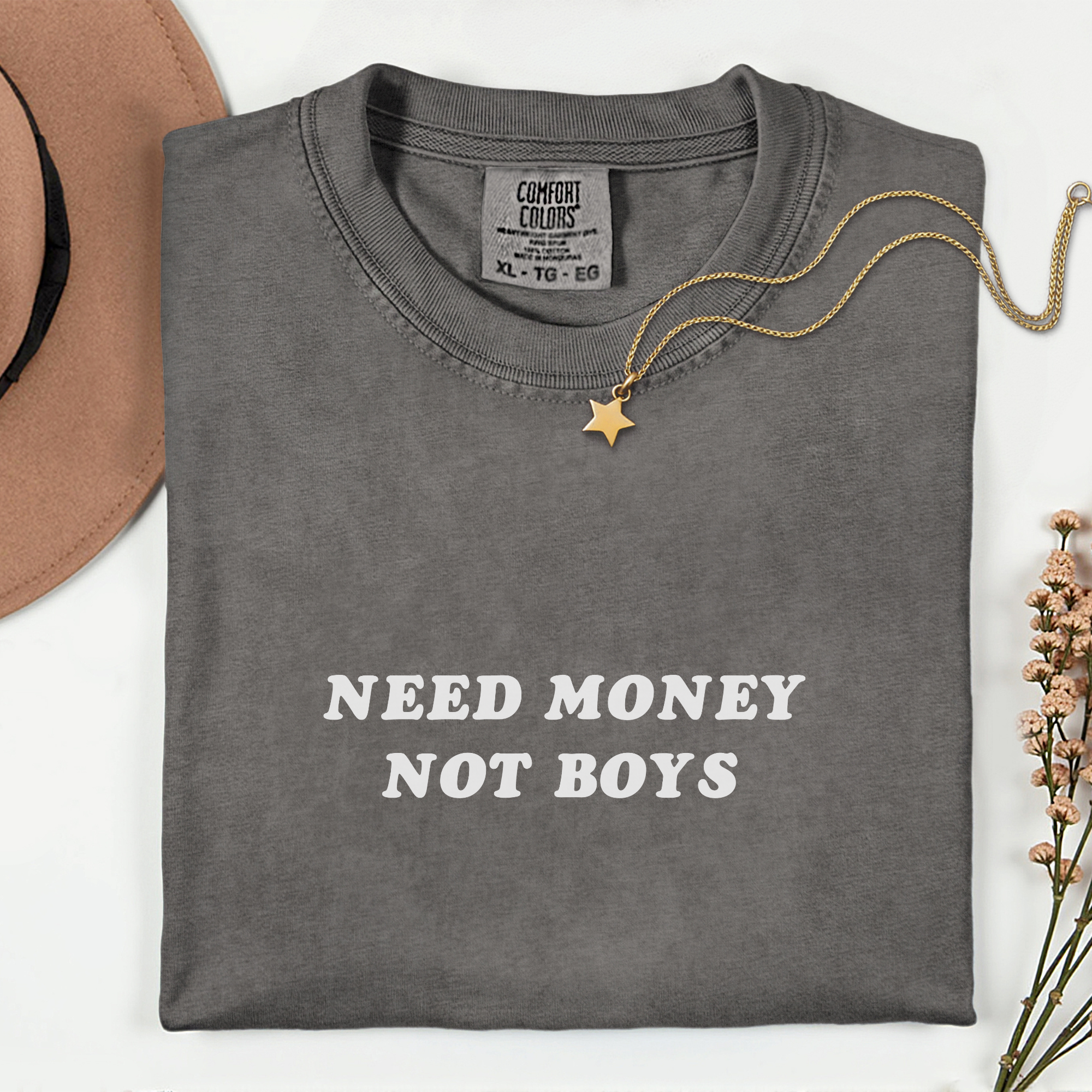 Need Money Not Boys T-Shirt