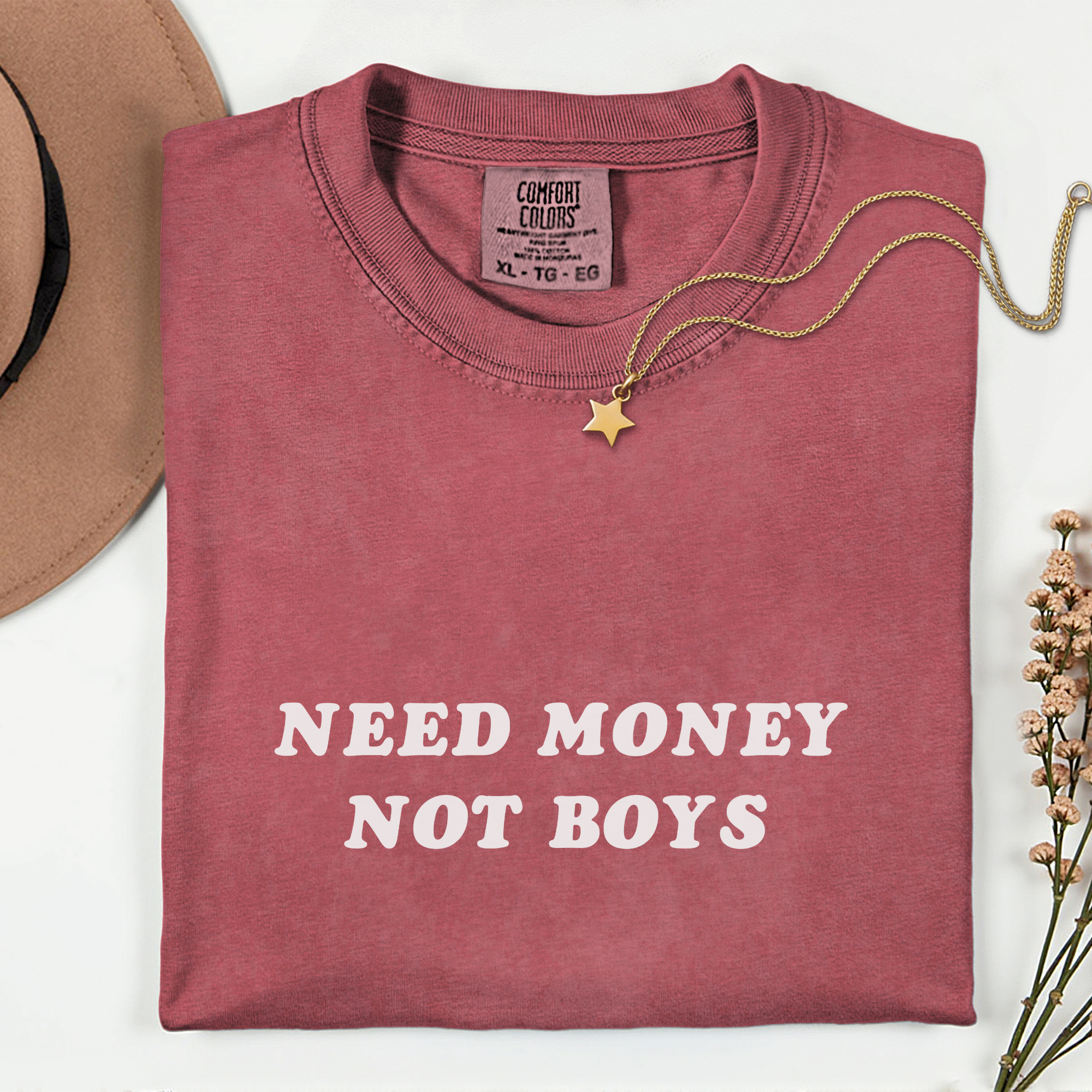 Need Money Not Boys T-Shirt